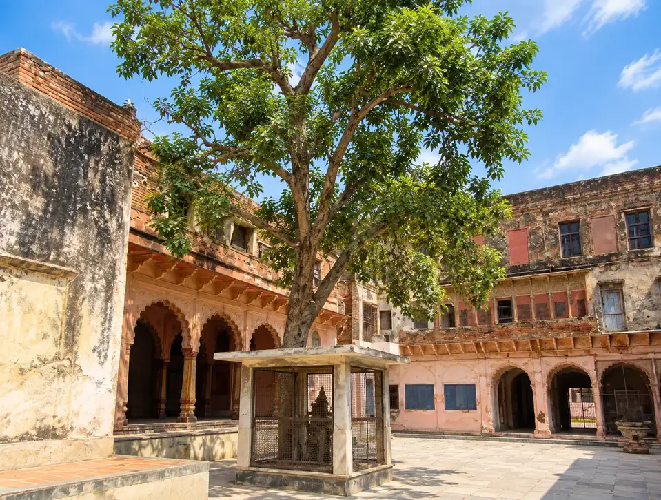 Shringar Vat, Vrindavan: the old banyan tree in a paved courtyard, its trunk rising from a small marble-columned shrine enclosed in iron mesh, with the pink scalloped arches and weathered walls of the ghat&rsquo;s buildings behind